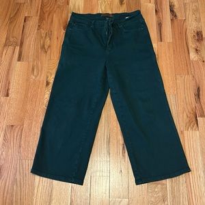 Judy Blue size 13 Dark Green Wide leg high waisted pants